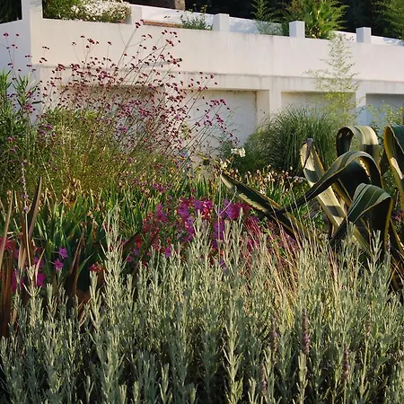 Πανσιόν Latas Country House Penacova