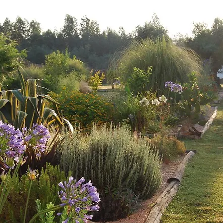 Πανσιόν Latas Country House Penacova