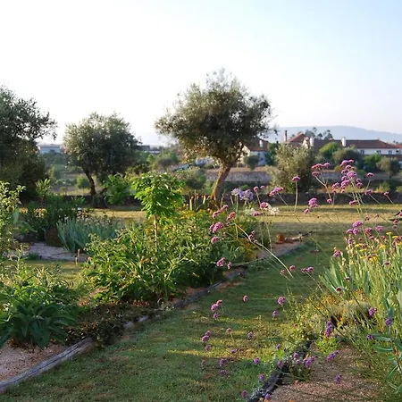 Πανσιόν Latas Country House Penacova